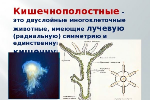 Омг омг оригинальная ссылка