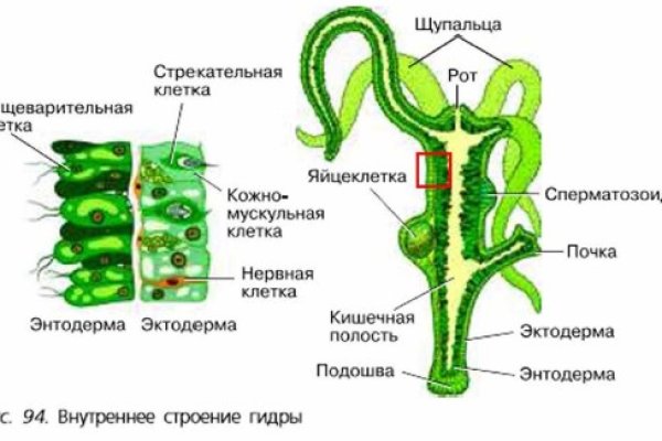 Зеркало омг омг омг